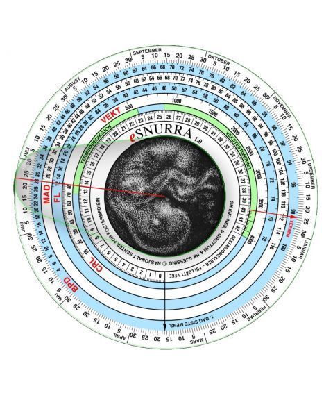 eSnurra graviditetskalender 